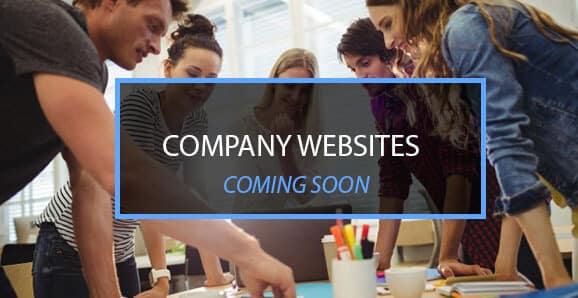 company-online-store